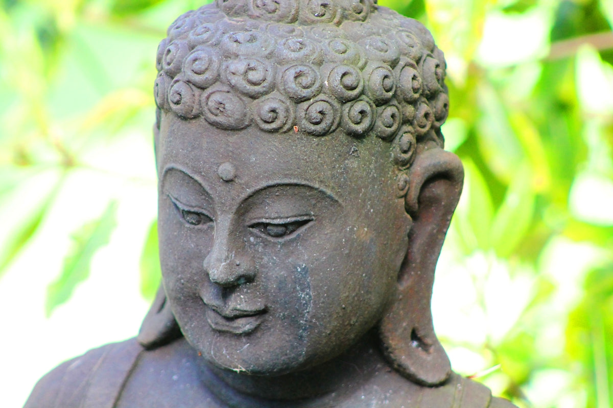 a close up of a statue of a buddha