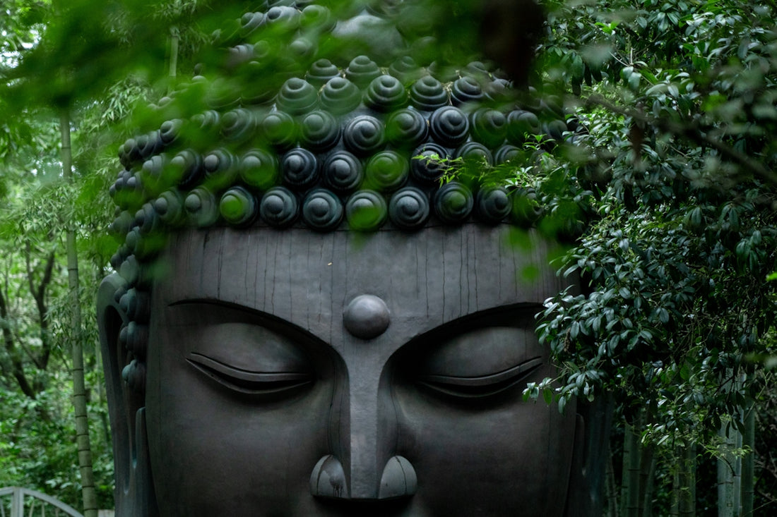 A statue of a buddha in a lush green forest